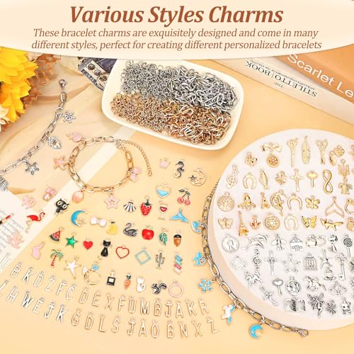 Mckanti 674 Pieces Charm Bracelet Making Kit, Including Paperclip Chain Bracelets, Charms, Jump Rings for DIY Bracelet Making(Gold & Silver)
