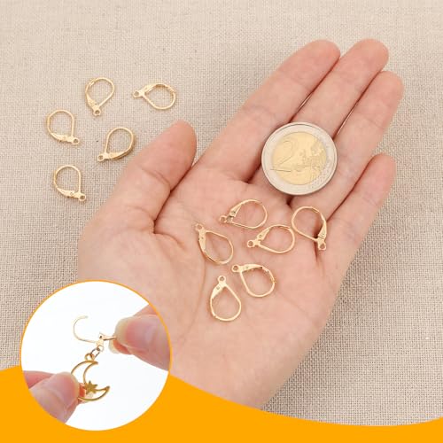 12Pack Gold Earring Hooks for Jewelry Making, Leverback Ear Wire Findings Women Ear Ring Charms, Lever Back Dangle Earring Clasps - Stainless Steel