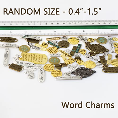 stino Metal Charms for Jewelry Making 100gram, Bulk Tibetan Silver & Gold Plated Trinkets for Earring Necklace Jewelry Making and Findings - color: Word Plate Silver & Gold