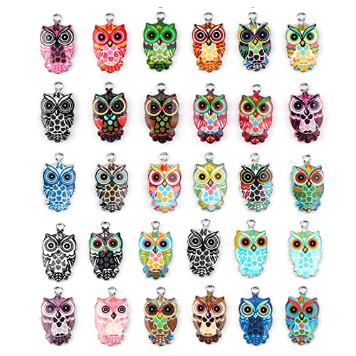 Generic 30 Pieces Owl Charms for Jewelry Making, Colorful Metal Owl Pendants, Cute Animal Jewellery Making Supplies
