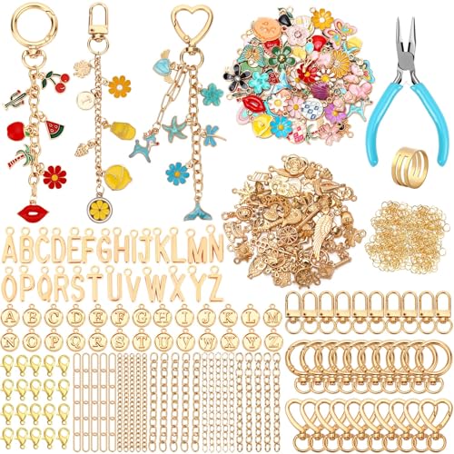 AUGSUN 439Pcs Charm Keychain Making Kit, Including 162 Charms 30 Keychain Clips Hooks 25 Extender Chains 200 Jump Rings and Jewelry Plier, Bulk Bag Charm Keychain Kit for DIY Keychains Making Craft