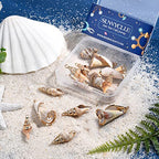 SUNNYCLUE 1 Box 16Pcs 4 Style Electroplate Spiral Seashells Craft Charms Connectors Pendant Conch Shells Charms with Plated Golden Loop Bail for Bracelet Necklace Making Craft Supplies - color: 1 Box 16Pcs Spiral Seashell Charms