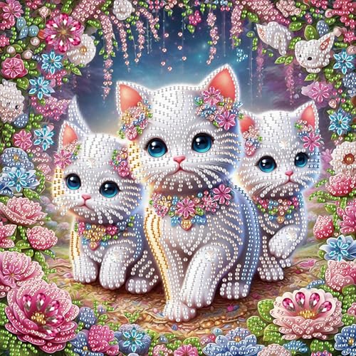 AiYuanzsh DIY Diamond Art Painting Kits for Adults, 5D Special Shape Crystal Rhinestone Diamond Art Kits for Beginners, for Home Wall Decoration Gift 12x12 inch, Cute Cats - color: Cute Cats