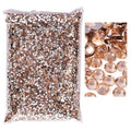Blinginbox 50000pcs Flatback Rhinestones,Resin Non Hotfix Rhinestones Large Quantity Wholesale for Crafts DIY Creative Design,Clothes,Makeup,Nail Art (2mm=0.08", Champagne) - color: Champagne, size: 2mm=0.08"