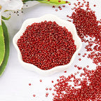 Transparent Red with Silver Lined Beads Size 12/0 Crafts Glass Seed Beads 2mm for Jewelry Making (Total About 100g About 11000pcs) - color: Transparent Red with Silver Lined, size: 2mm