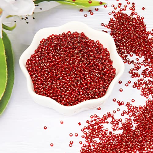 Transparent Red with Silver Lined Beads Size 12/0 Crafts Glass Seed Beads 2mm for Jewelry Making (Total About 100g About 11000pcs) - color: Transparent Red with Silver Lined, size: 2mm