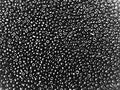 Seed Beads Size:11/0 50 gr / 1.76 oz (Opaque Black) - color: Opaque Black