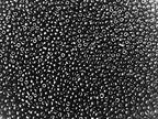 Seed Beads Size:11/0 50 gr / 1.76 oz (Opaque Black) - color: Opaque Black