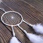 DIY Dream Catcher Beginner Kit, Making Dream Catcher Supplies Include Metal Hoop, Feathers, Faux Suede Cord, Thread, Wood Beads (White) - color: White