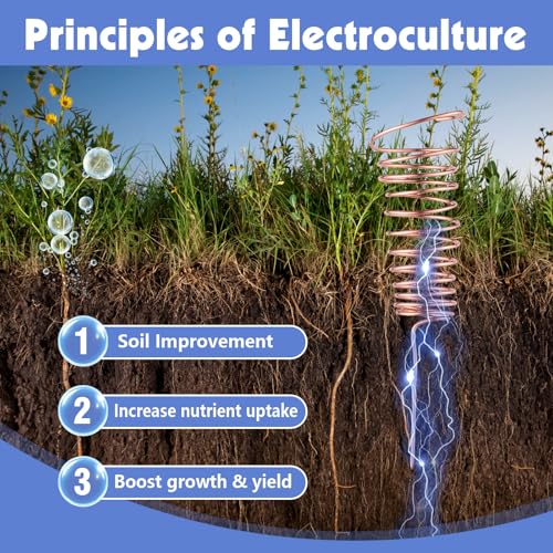 20 Gauge 100 FT 99.9% Soft Copper Wire, 0.8mm Diameter Craft Copper Wire for Gardening, Electroculture, Jewelry Making, Beading, DIY Artwork - size: 20 Gauge/100 FT, style: 0.031" Diameter