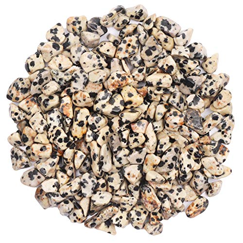 500 pcs Natural Chip Stone Beads, Dalmatian 5-8 mm Irregular Gemstones Healing Crystal Loose Rocks Bead Hole Drilled for Jewelry Making Bracelet - color: Dalmatian