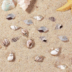 SUNNYCLUE 1 Box 16Pcs Oval Ocean Beach Spiral Seashells Craft Charms Connectors Pendant Conch Shells Charms with Plated Golden Loop Bail for Jewelry Bracelet Necklace Making Craft Supplies - color: 1 Box 16pcs Shell Charms