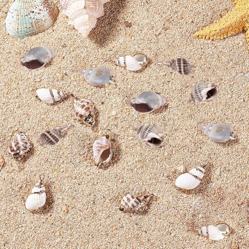 SUNNYCLUE 1 Box 16Pcs Oval Ocean Beach Spiral Seashells Craft Charms Connectors Pendant Conch Shells Charms with Plated Golden Loop Bail for Jewelry Bracelet Necklace Making Craft Supplies - color: 1 Box 16pcs Shell Charms