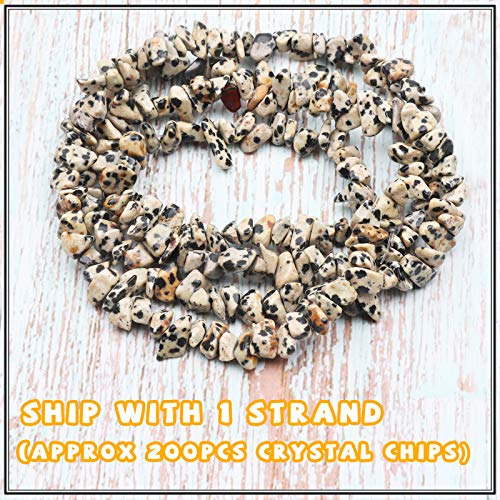 500 pcs Natural Chip Stone Beads, Dalmatian 5-8 mm Irregular Gemstones Healing Crystal Loose Rocks Bead Hole Drilled for Jewelry Making Bracelet - color: Dalmatian