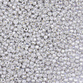 5000pcs Glass Seed Beads, 3mm 8/0 Small Individual Color Seed Beads Mini Pony Bulk for DIY Bracelet Necklaces Wrist Jewelry Making, Silver - color: Silver