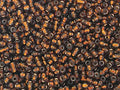 Seed Beads Size:11/0 50 gr / 1.76 oz (Amber Silver Lined) - color: Amber Silver Lined