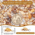 PH PandaHall Shell Pendants Spiral Seashells Craft Charms Cowrie Sea Shells Pendant Natural Shell Charms Conch Shells with Loop Bail - color: Golden/Silver, size: 0.7~0.9 inch