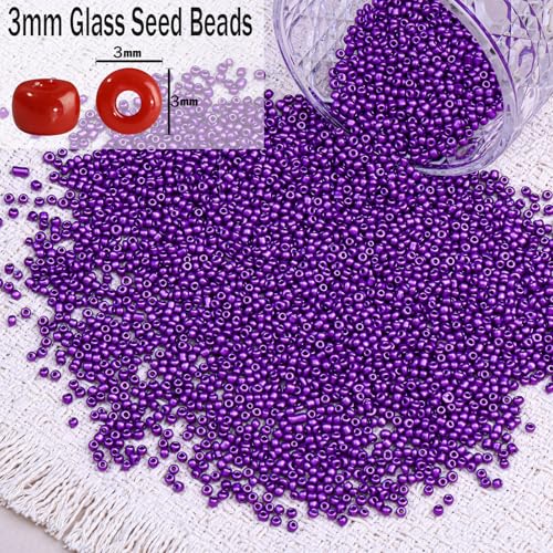 5000pcs Glass Seed Beads, 3mm 8/0 Small Individual Color Seed Beads Mini Pony Bulk for DIY Bracelet Necklaces Wrist Jewelry Making, Dark Purple - color: Dark Purple