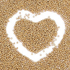8/0 Glass Seed Beads Bulk, Gold 3mm Tiny Round Craft Seed Bead, Small Mini Pony Beads for Jewelry Making Bracelet Necklace Wrist Beading Weaving Supplies, 2500pcs - color: Gold