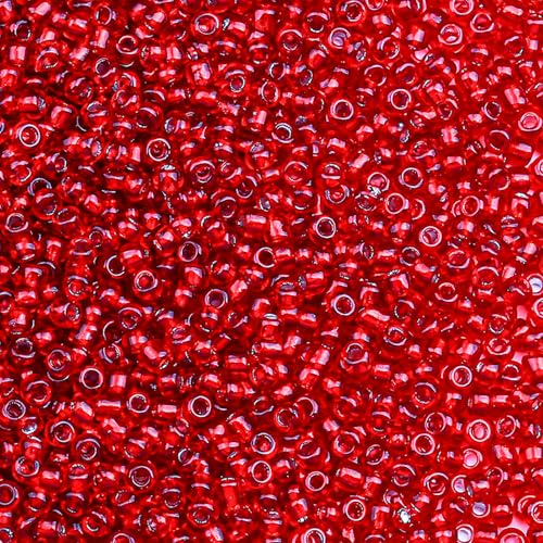 2000pcs Glass Seed Beads Bulk, 4mm 6/0 Mini Pony Spacer Small Individual Color Seed Beads for DIY Bracelet Necklaces Wrist Jewelry Making, Frosted Silver Bright Red - color: Frosted Silver Bright Red