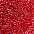 2000pcs Glass Seed Beads Bulk, 4mm 6/0 Mini Pony Spacer Small Individual Color Seed Beads for DIY Bracelet Necklaces Wrist Jewelry Making, Frosted Silver Bright Red - color: Frosted Silver Bright Red