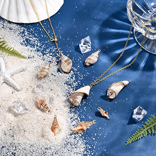 SUNNYCLUE 1 Box 16Pcs 4 Style Electroplate Spiral Seashells Craft Charms Connectors Pendant Conch Shells Charms with Plated Golden Loop Bail for Bracelet Necklace Making Craft Supplies - color: 1 Box 16Pcs Spiral Seashell Charms