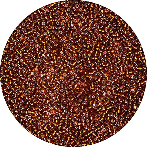 5000pcs Glass Seed Beads Bulk,3mm 8/0 Craft Seed Beads Small Pony Beads for DIY Craft Projects Bracelets Necklace Jewelry Making - Brown Waist Beads Spacer Beads with Tweezers - color: Brown, size: 3mm