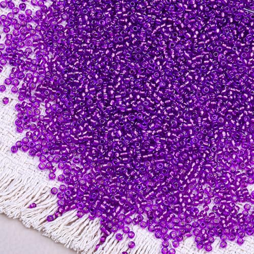 5000pcs Glass Seed Beads, 3mm 8/0 Small Individual Color Seed Beads Mini Pony Bulk for DIY Bracelet Necklaces Wrist Jewelry Making, Frosted Silver Purple - color: Frosted Silver Purple