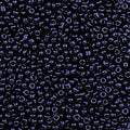 2000pcs Glass Seed Beads Bulk, 4mm 6/0 Mini Pony Spacer Small Individual Color Seed Beads for DIY Bracelet Necklaces Wrist Jewelry Making, Black - color: Black