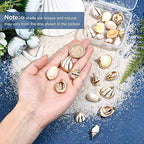 SUNNYCLUE 1 Box 24Pcs 6 Style Electroplate Spiral Seashells Charm Craft Charms Connectors Conch Shells Charms with Plated Golden Loop Bail for Bracelet Necklace Making Christmas Craft Gift Supplies - color: 1 Box 24pcs Spiral Seashells Charm