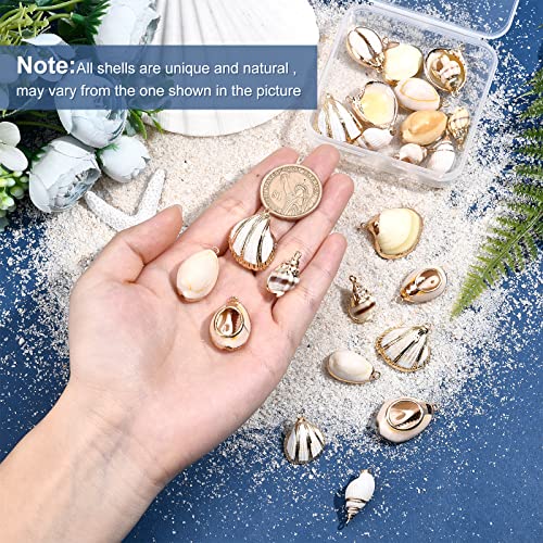 SUNNYCLUE 1 Box 24Pcs 6 Style Electroplate Spiral Seashells Charm Craft Charms Connectors Conch Shells Charms with Plated Golden Loop Bail for Bracelet Necklace Making Christmas Craft Gift Supplies - color: 1 Box 24pcs Spiral Seashells Charm
