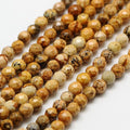 Fashewelry 136pcs 3mm Natural Picture Jasper Beads Small Faceted Round Crystal Beads for Bracelet Necklace Earrings DIY Jewelry Making - color: 3mm-Picture Jasper