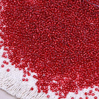 2000pcs Glass Seed Beads Bulk, 4mm 6/0 Mini Pony Spacer Small Individual Color Seed Beads for DIY Bracelet Necklaces Wrist Jewelry Making, Frosted Silver Bright Red - color: Frosted Silver Bright Red