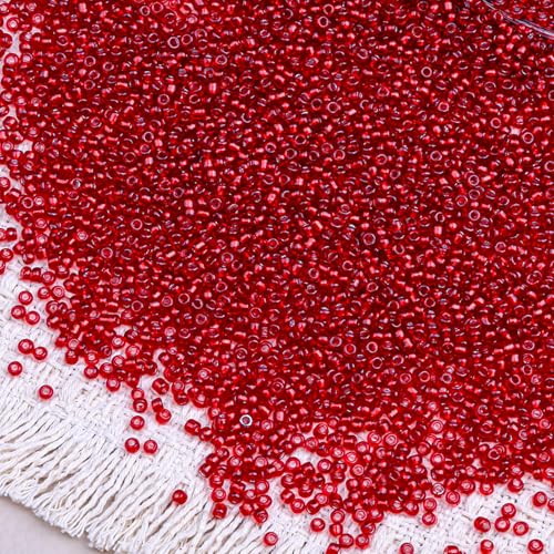 2000pcs Glass Seed Beads Bulk, 4mm 6/0 Mini Pony Spacer Small Individual Color Seed Beads for DIY Bracelet Necklaces Wrist Jewelry Making, Frosted Silver Bright Red - color: Frosted Silver Bright Red