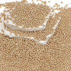 8/0 Glass Seed Beads Bulk, Gold 3mm Tiny Round Craft Seed Bead, Small Mini Pony Beads for Jewelry Making Bracelet Necklace Wrist Beading Weaving Supplies, 2500pcs - color: Gold