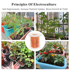 99.95% Bare Copper Wire 20Gauge (0.031") 150ft (46mm) Copper Wire for electroculture Gardening, Bonsai, Jewelry Making Beading Garden Plants,Ground Wire & DIY Craft (20Gauge,150FT)