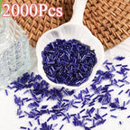 2000Pcs Tube Seed Beads 2x7mm Mini Long Glass Bugle Bead Small Craft Loose Spacer Beads for DIY Phone Charms Waist Bead Bracelets Earrings Necklaces (Royal Blue) - color: Royal blue