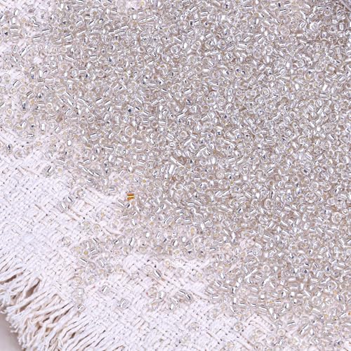 5000pcs Glass Seed Beads, 3mm 8/0 Small Individual Color Seed Beads Mini Pony Bulk for DIY Bracelet Necklaces Wrist Jewelry Making, Frosted Silver White - color: Frosted Silver White