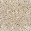 John Bead Czech Seed Beads 10/0 Silver Lined Crystal, 100g - color: Crystal