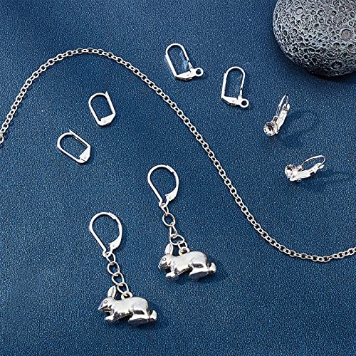 SUNNYCLUE 1 Box 24Pcs 4 Styles Leverback Earring Findings Leverback French Ear Hooks Wire Earring Findings for Jewelry Making DIY Craft Making, Silver - color: 1 Box 30pcs 925 Sterling Silver Plated Leverback