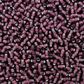 Czech 8/0 Silver Lined Glass Seed Beads 20 Grams 800 Pcs Multi Colors (Plum) - color: Plum