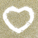 2mm Glass Seed Beads Bulk, Bright Gold 12/0 Tiny Round Seed Bead, Small Mini Pony Craft Beads for Bracelet Necklace Wrist Jewelry Making Beading Weaving DIY Crafts Supplies - color: Bright Gold