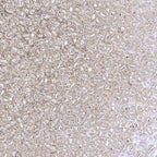 5000pcs Glass Seed Beads, 3mm 8/0 Small Individual Color Seed Beads Mini Pony Bulk for DIY Bracelet Necklaces Wrist Jewelry Making, Frosted Silver White - color: Frosted Silver White