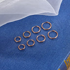 316L Surgical Stainless Steel Small Hoop Earrings 8mm 10mm 12mm 14mm Hypoallergenic Huggie Hoop Earrings Helix Lobes Hinged Sleeper Earrings Cartilage Piercings - color: J: Rose Gold (Diameter 8mm/10mm/12mm/14mm),4 Pairs