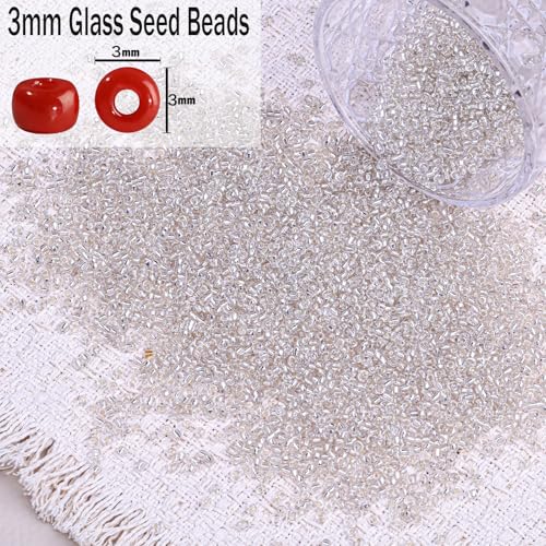 5000pcs Glass Seed Beads, 3mm 8/0 Small Individual Color Seed Beads Mini Pony Bulk for DIY Bracelet Necklaces Wrist Jewelry Making, Frosted Silver White - color: Frosted Silver White