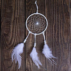 DIY Dream Catcher Beginner Kit, Making Dream Catcher Supplies Include Metal Hoop, Feathers, Faux Suede Cord, Thread, Wood Beads (White) - color: White