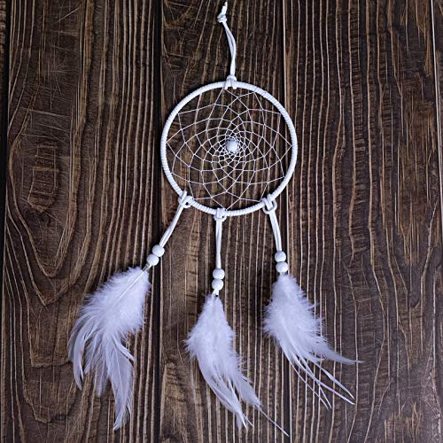 DIY Dream Catcher Beginner Kit, Making Dream Catcher Supplies Include Metal Hoop, Feathers, Faux Suede Cord, Thread, Wood Beads (White) - color: White