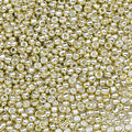 5000pcs Glass Seed Beads, 3mm 8/0 Small Individual Color Seed Beads Mini Pony Bulk for DIY Bracelet Necklaces Wrist Jewelry Making, Bright Gold - color: Bright Gold