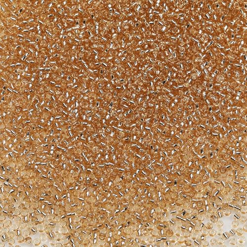Bala&Fillic 12/0 Glass Seed Beads Champagne Color Transparent Silver Lined Seed Beads About 10000pcs/110g in Box (Champagne Color) - color: Champagne, size: 2mm
