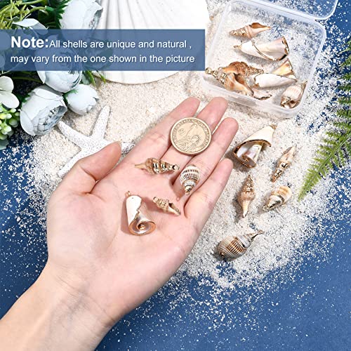 SUNNYCLUE 1 Box 16Pcs 4 Style Electroplate Spiral Seashells Craft Charms Connectors Pendant Conch Shells Charms with Plated Golden Loop Bail for Bracelet Necklace Making Craft Supplies - color: 1 Box 16Pcs Spiral Seashell Charms